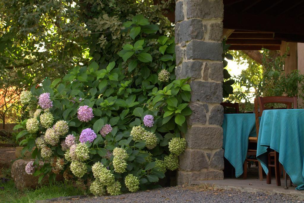 Country Hotel Mandra Edera Abbasanta Εξωτερικό φωτογραφία