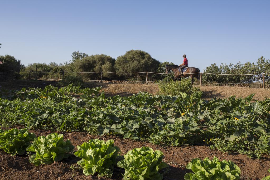 Country Hotel Mandra Edera Abbasanta Εξωτερικό φωτογραφία