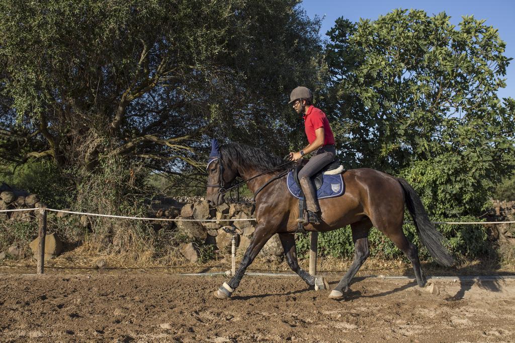 Country Hotel Mandra Edera Abbasanta Εξωτερικό φωτογραφία