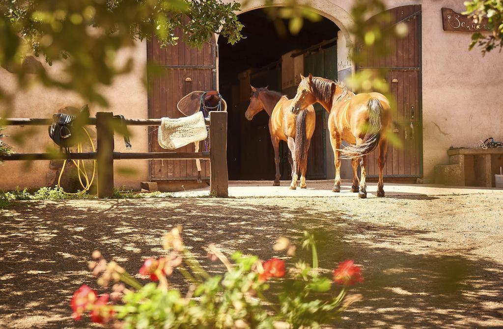 Country Hotel Mandra Edera Abbasanta Εξωτερικό φωτογραφία