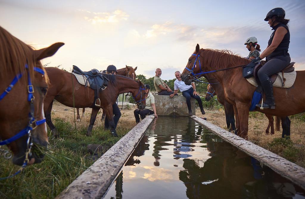Country Hotel Mandra Edera Abbasanta Εξωτερικό φωτογραφία
