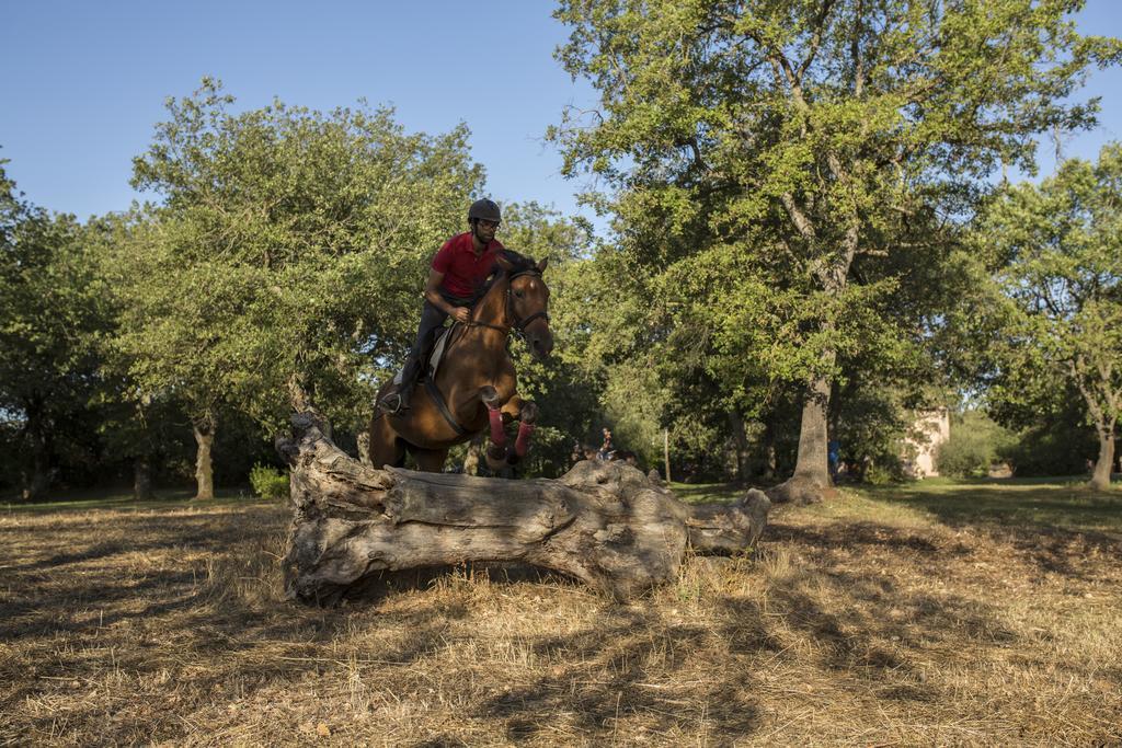 Country Hotel Mandra Edera Abbasanta Εξωτερικό φωτογραφία