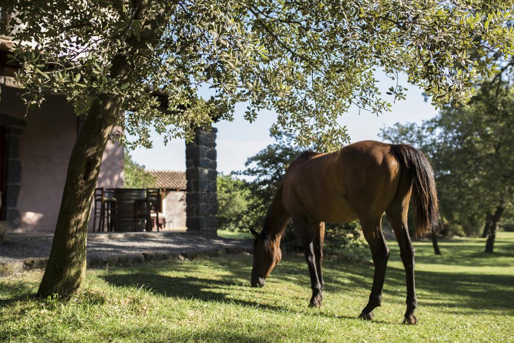 Country Hotel Mandra Edera Abbasanta Εξωτερικό φωτογραφία