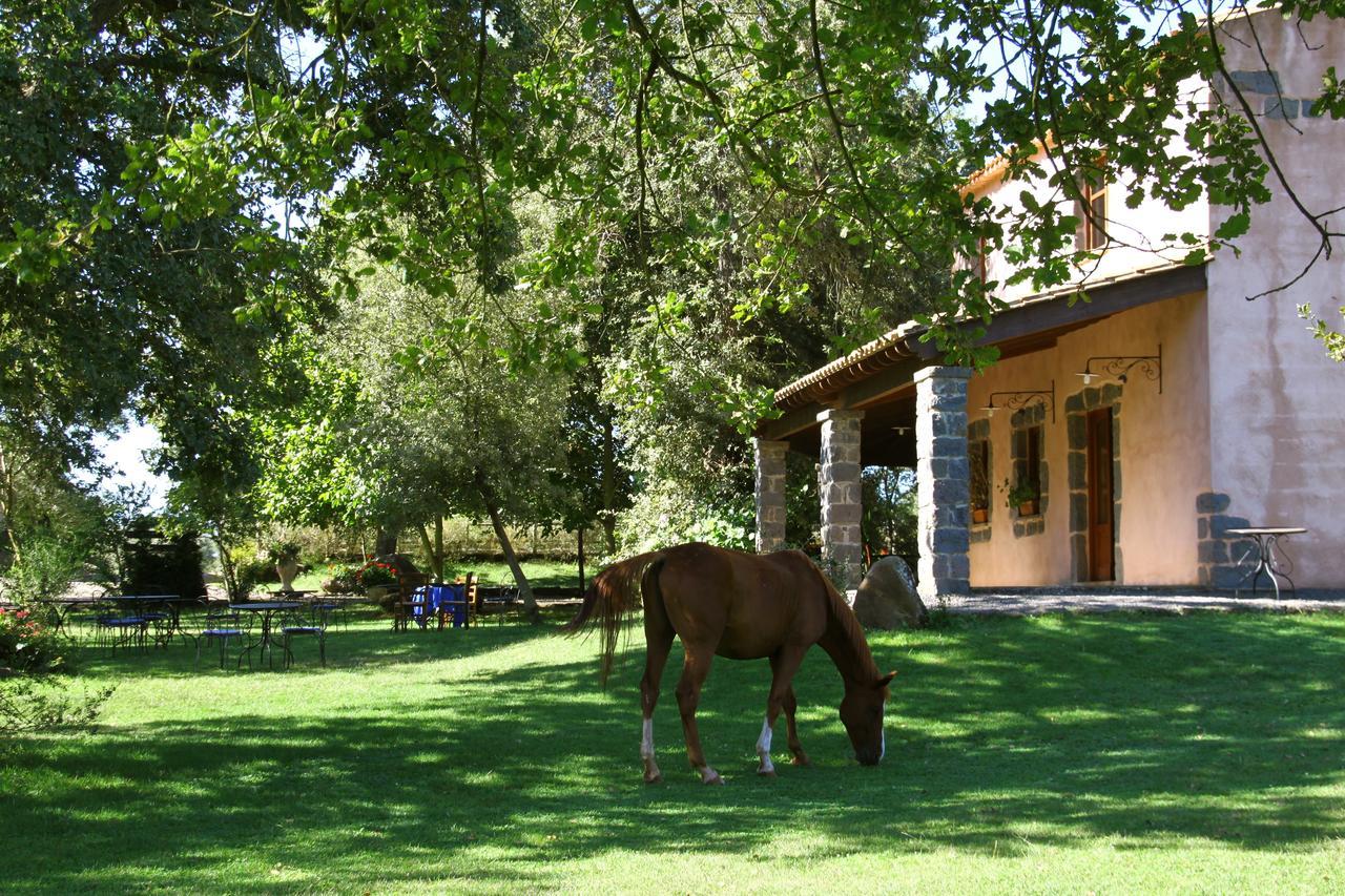Country Hotel Mandra Edera Abbasanta Εξωτερικό φωτογραφία
