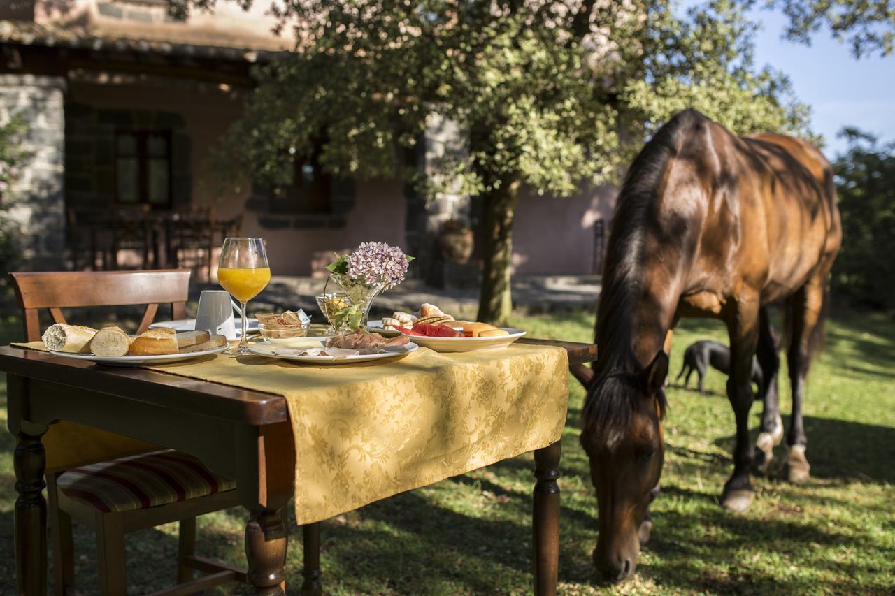 Country Hotel Mandra Edera Abbasanta Εξωτερικό φωτογραφία